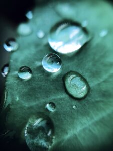 rain, nature, drops, droplet