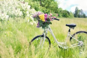 bicycle, meadow, nature, flower wallpaper, flowers, grass, bike, spring, beautiful flowers, green, countryside, flower background, summer