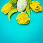 flowers, spring, tulips, plant, meadow, holidays, flower background, yellow, flower wallpaper, blue, green, insect, ladybug, nature, easter, bouquet, beautiful flowers, egg, easter egg