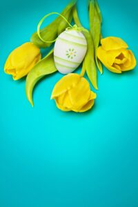 flowers, spring, tulips, plant, meadow, holidays, flower background, yellow, flower wallpaper, blue, green, insect, ladybug, nature, easter, bouquet, beautiful flowers, egg, easter egg