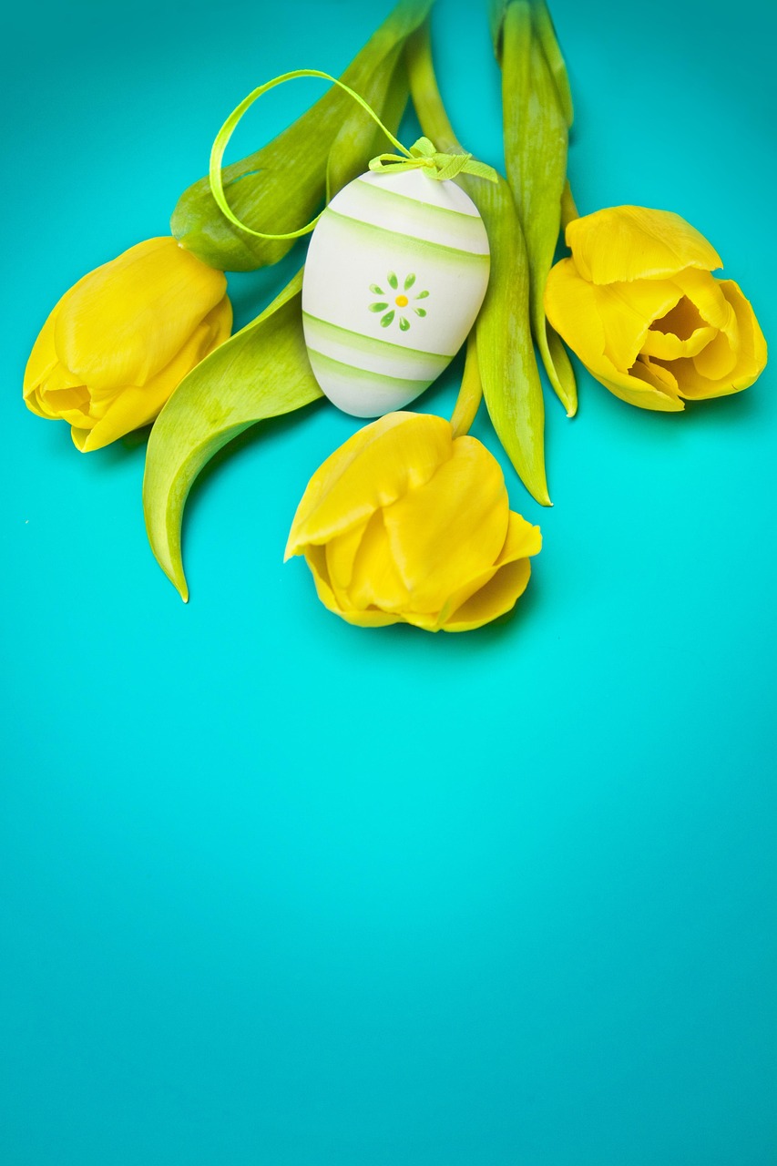 flowers, spring, tulips, plant, meadow, holidays, flower background, yellow, flower wallpaper, blue, green, insect, ladybug, nature, easter, bouquet, beautiful flowers, egg, easter egg