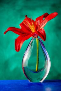 lilly, flower, beautiful flowers, vase, flower wallpaper, glass, stillfife, flower background, red, green, blue, studio, botanic, nature, macro, lincoln, uk, still life