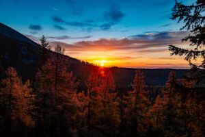 Stunning sunrise view over autumn forest in Vysoké Tatry, Slovakia.