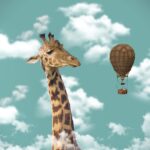 giraffe, hot air balloon, imagination, animal, mammal, ballooning, nature, hot air ballooning, sky, steampunk, digital art, photo manipulation