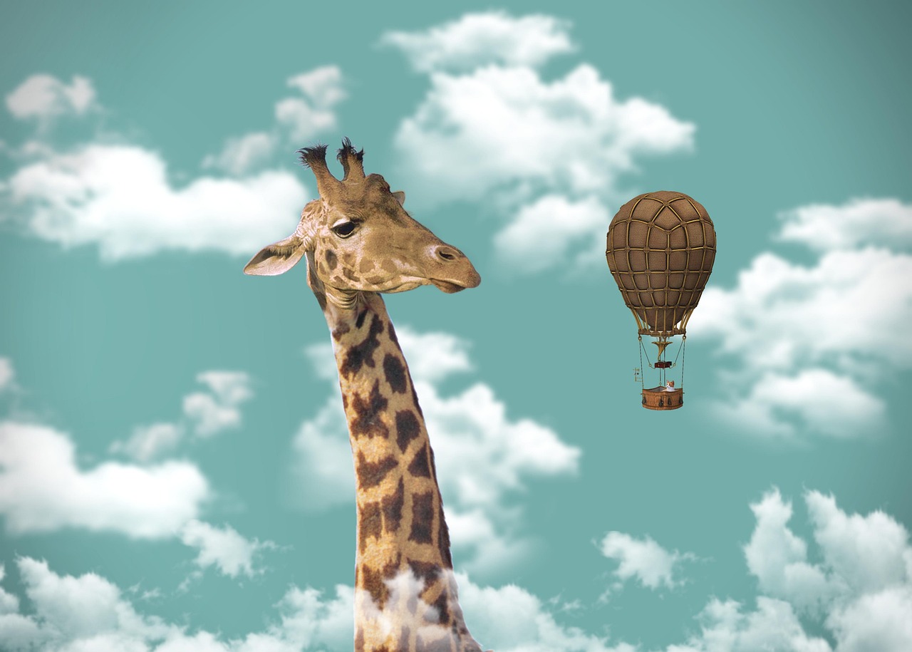 giraffe, hot air balloon, imagination, animal, mammal, ballooning, nature, hot air ballooning, sky, steampunk, digital art, photo manipulation