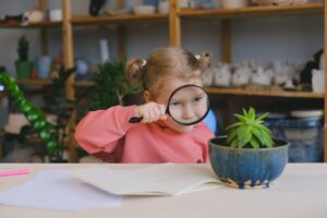 A young girl in a pink sweater intensely studies a potted plant using a magnifying glass.